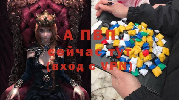 эйфоретик Алексин
