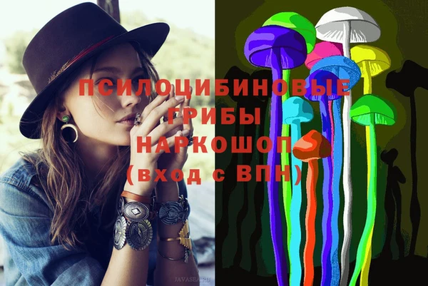 мдпв Алзамай