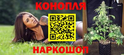 спиды Моздок