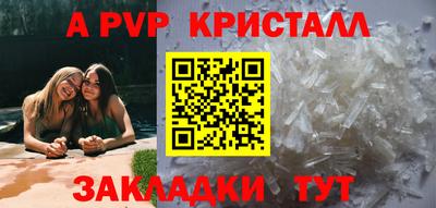 спиды Моздок