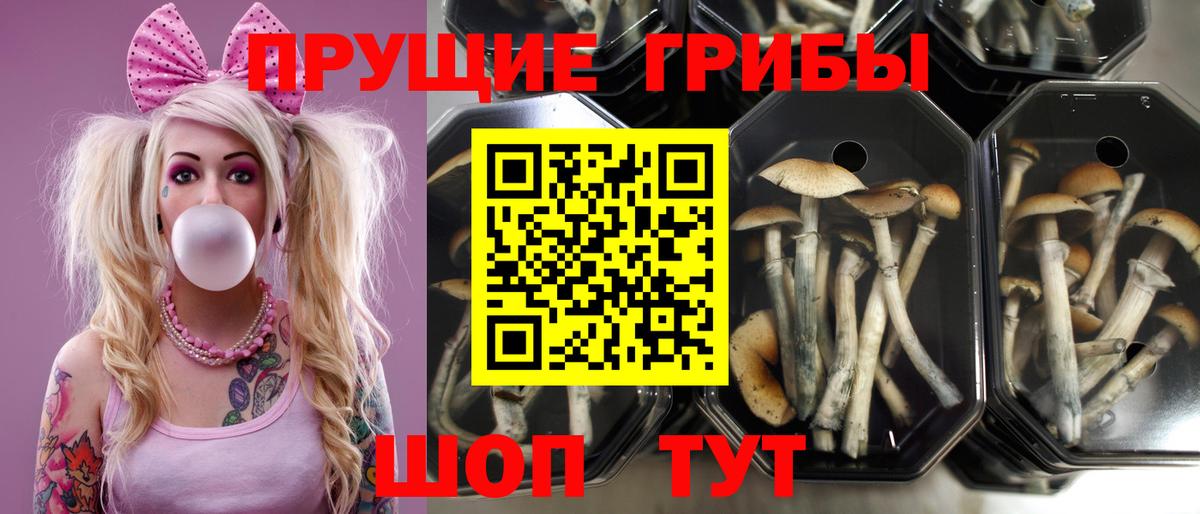 Чусовой  Галлюциногенные грибы ЛСД  Псилоцибиновые грибы Cubensis  Вход с VPN 